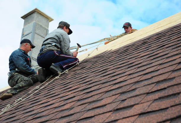 Best Storm Damage Roof Repair  in Chattanooga, TN